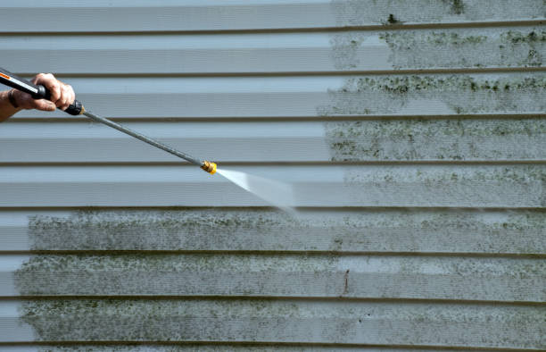Best Building Exterior Washing  in Greenwood, PA